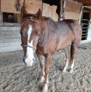 Meet your Posher, Marcos